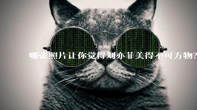 哪张照片让你觉得刘亦菲美得不可方物?