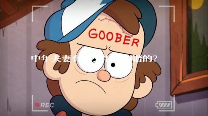 中年夫妻有多少生活和谐的?