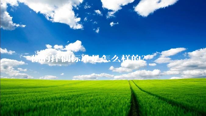 你的择偶标准是怎么样的?