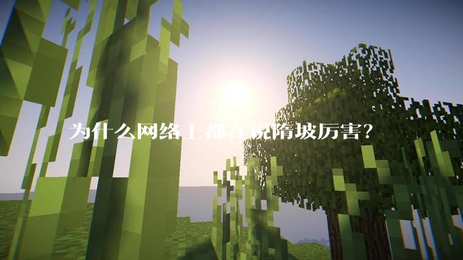为什么网络上都在说隋坡厉害?