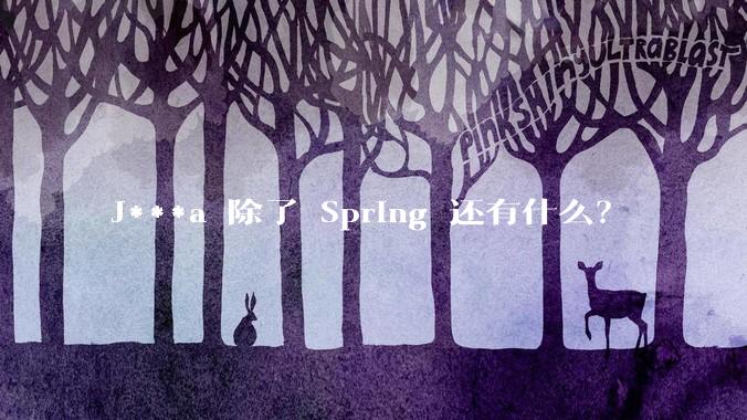 J***a 除了 Spring 还有什么?