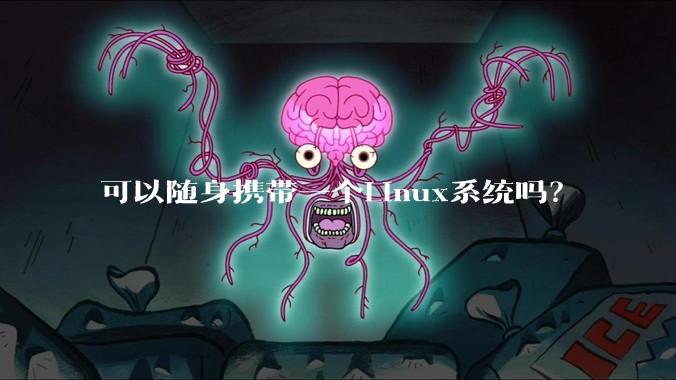 可以随身携带一个Linux系统吗?