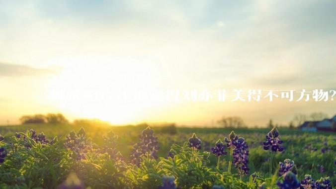 哪张照片让你觉得刘亦菲美得不可方物?