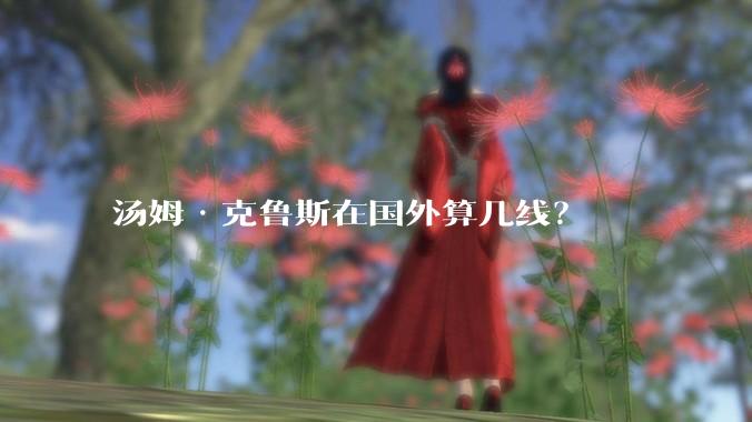 汤姆·克鲁斯在国外算几线?