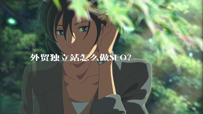 外贸独立站怎么做SEO?