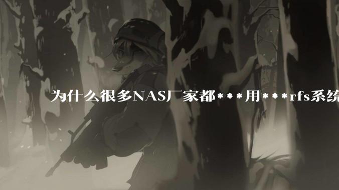 为什么很多NAS厂家都***用***rfs系统,而不是更稳定的zfs?