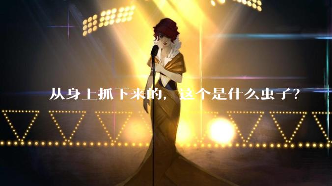 从身上抓下来的,这个是什么虫子?