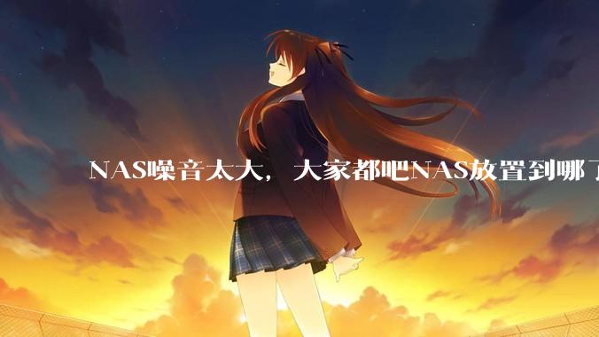 NAS噪音太大,大家都吧NAS放置到哪了?