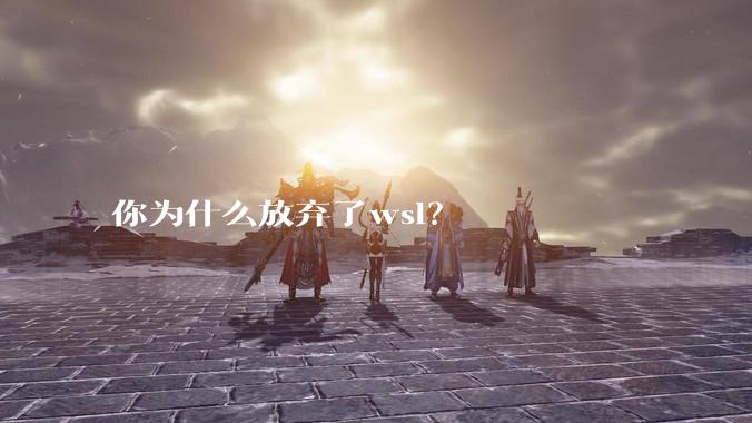 你为什么放弃了wsl?