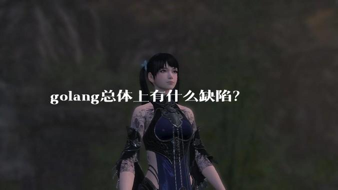 golang总体上有什么缺陷?