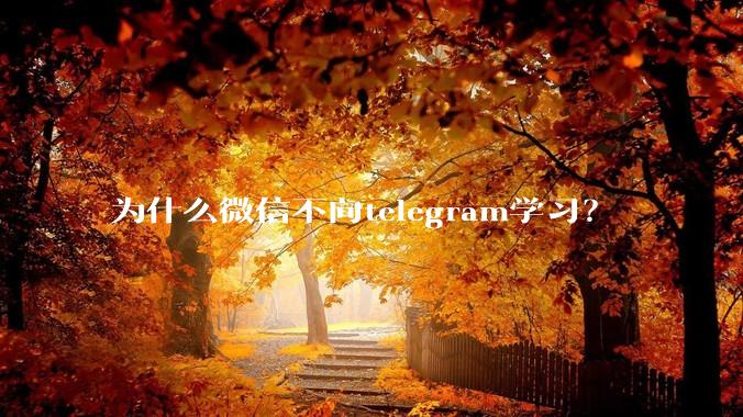 为什么微信不向telegram学习?
