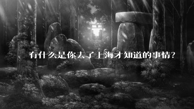 有什么是你去了上海才知道的事情?