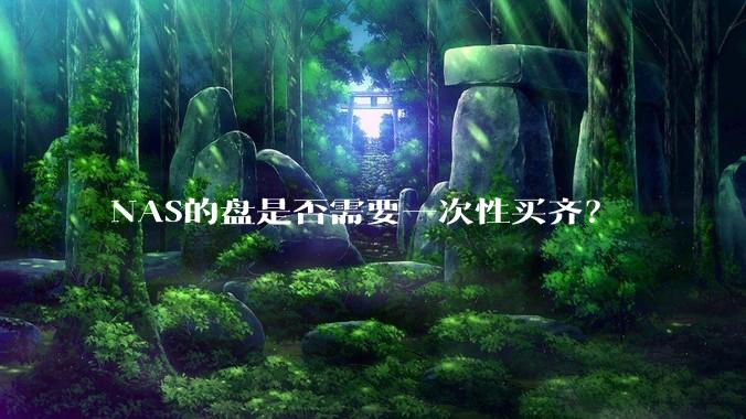 NAS的盘是否需要一次性买齐?