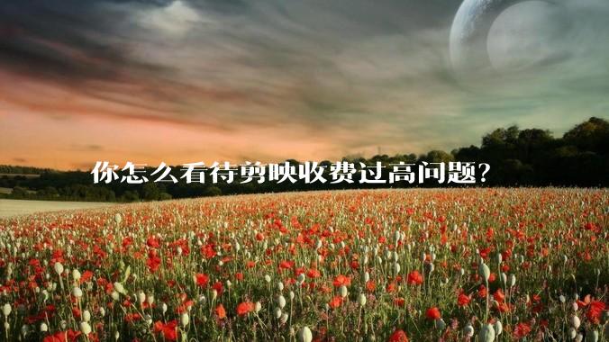 你怎么看待剪映收费过高问题?